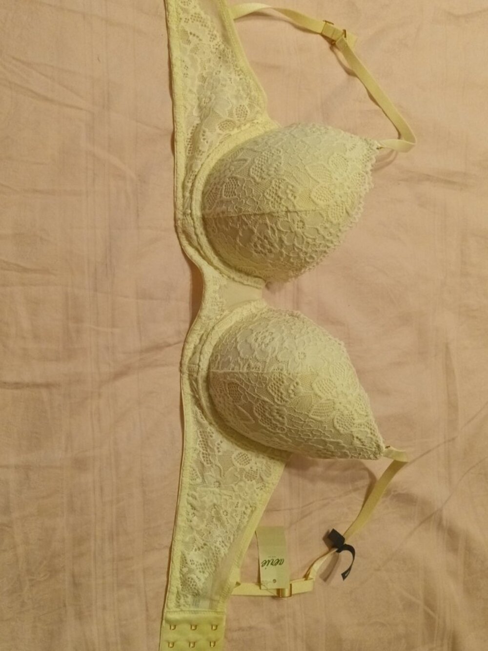 Aerie pushup bra